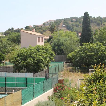Appartement Renove Avec Terrasse, A Deux Pas Du Centre Et De La Mer, Ideal Pour 4 Personnes - Fr-1-309-4 Banyuls-sur-Mer Bagian luar foto
